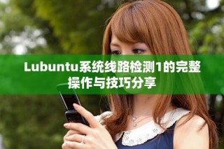 Lubuntu系統線路檢測1的完整操作與技巧分享