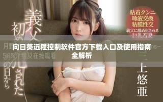 向日葵遠(yuǎn)程控制軟件官方下載入口及使用指南全解析