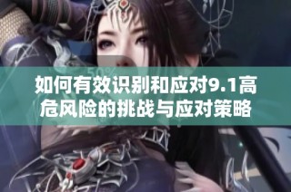 如何有效識別和應對9.1高危風險的挑戰與應對策略