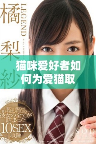 貓咪愛好者如何為愛貓取個富有地域特色的名字