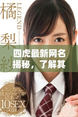 四虎最新網名揭秘，了解其背后的含義與故事
