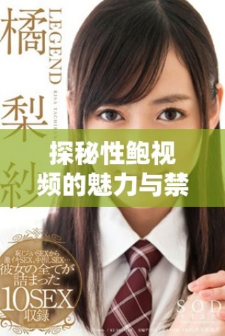 探秘性鮑視頻的魅力與禁忌：深入了解其背后的文化現象