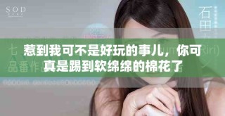 惹到我可不是好玩的事兒，你可真是踢到軟綿綿的棉花了