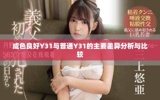 成色良好Y31與普通Y31的主要差異分析與比較