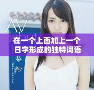 在一個上面加上一個日字形成的獨特詞語解析與應用探索