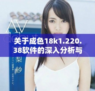 關(guān)于成色18k1.220.38軟件的深入分析與應(yīng)用探討