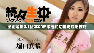 全面解析9.1版本CRM系統(tǒng)的功能與應(yīng)用技巧