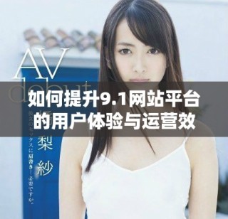 如何提升9.1網(wǎng)站平臺的用戶體驗與運營效率探討