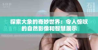 探索大象的奇妙世界：令人驚嘆的自然影像和智慧展示