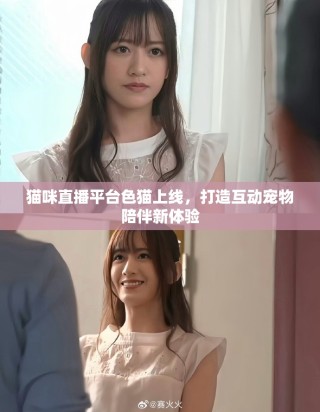 貓咪直播平臺色貓上線，打造互動寵物陪伴新體驗