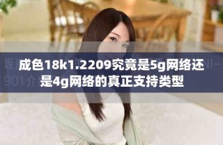 成色18k1.2209究竟是5g網絡還是4g網絡的真正支持類型