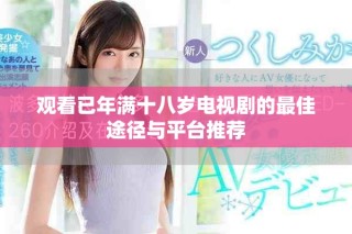 觀看已年滿十八歲電視劇的最佳途徑與平臺推薦