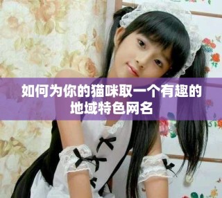 如何為你的貓咪取一個有趣的地域特色網名