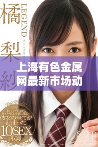 上海有色金屬網最新市場動態與行業分析一覽