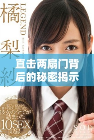 直擊兩扇門背后的秘密揭示視頻內容深度分析