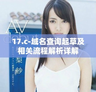 17.c-域名查詢起草及相關流程解析詳解