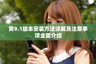 黃9.1版本安裝方法詳解及注意事項全面介紹