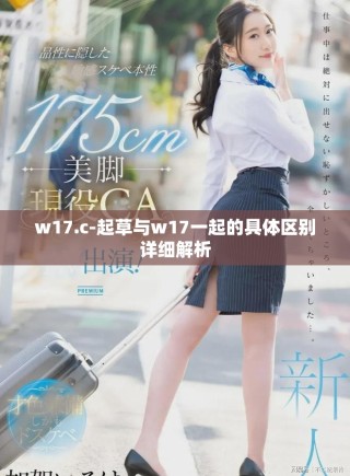w17.c-起草與w17一起的具體區(qū)別詳細解析