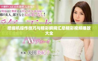 挖掘機操作技巧與精彩瞬間匯總精彩視頻播放大全