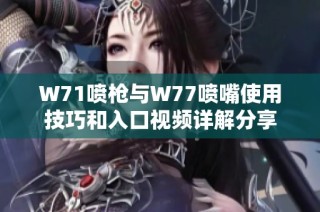 W71噴槍與W77噴嘴使用技巧和入口視頻詳解分享