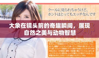 大象在鏡頭前的奇趣瞬間，展現自然之美與動物智慧