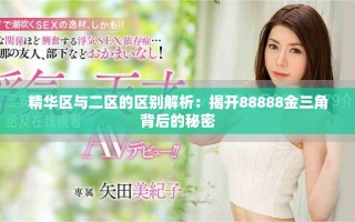 精華區與二區的區別解析：揭開88888金三角背后的秘密