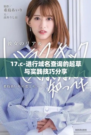 17.c-進行域名查詢的起草與實踐技巧分享