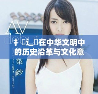 扌喿辶畐在中華文明中的歷史沿革與文化意義探討