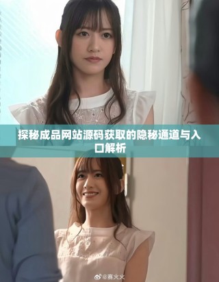 探秘成品網站源碼獲取的隱秘通道與入口解析