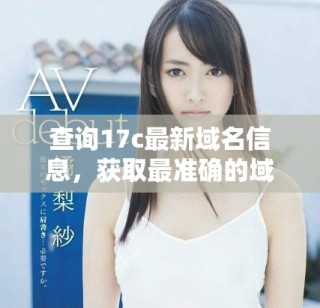 查詢17c最新域名信息，獲取最準確的域名數據