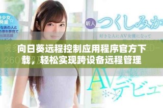 向日葵遠(yuǎn)程控制應(yīng)用程序官方下載，輕松實(shí)現(xiàn)跨設(shè)備遠(yuǎn)程管理