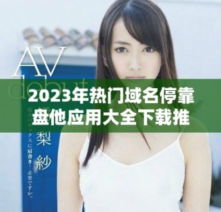 2023年熱門域名停靠盤他應用大全下載推薦與評測