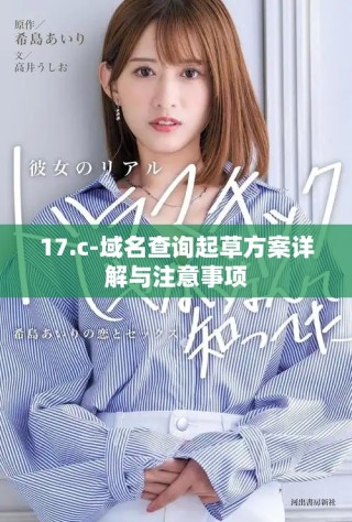 17.c-域名查詢起草方案詳解與注意事項