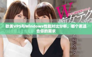 歐美VPS與Windows性能對比分析，哪個更適合你的需求