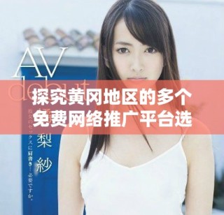 探究黃岡地區(qū)的多個(gè)免費(fèi)網(wǎng)絡(luò)推廣平臺(tái)選擇
