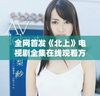 全網首發《北上》電視劇全集在線觀看方式與資源分享