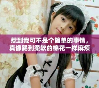 惹到我可不是個簡單的事情，真像踢到柔軟的棉花一樣麻煩