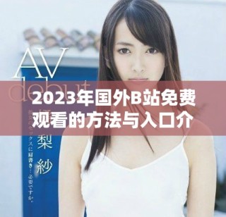 2023年國外B站免費觀看的方法與入口介紹