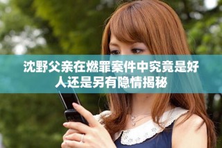 沈野父親在燃罪案件中究竟是好人還是另有隱情揭秘