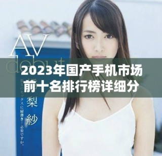 2023年國產手機市場前十名排行榜詳細分析與推薦分享