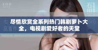 盡情欣賞全系列熱門韓劇蘿卜大全，電視劇愛好者的天堂