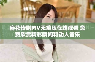 麻花傳劇MV無痕版在線觀看 免費(fèi)欣賞精彩瞬間和動(dòng)人音樂