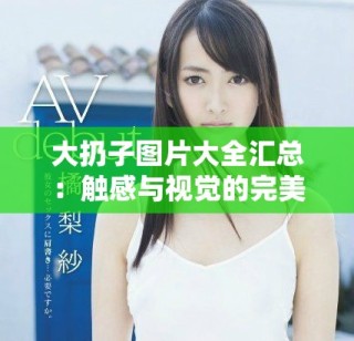 大扔子圖片大全匯總：觸感與視覺(jué)的完美結(jié)合探索之旅