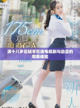 滿十八歲后暢享在線電視劇與動漫的觀看體驗
