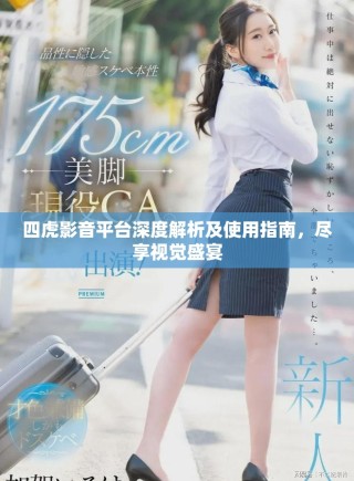 四虎影音平臺深度解析及使用指南，盡享視覺盛宴