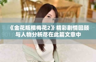 《金花瓶楷梅花2》精彩劇情回顧與人物分析盡在此篇文章中