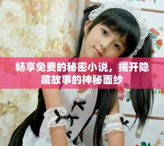 暢享免費(fèi)的秘密小說，揭開隱藏故事的神秘面紗