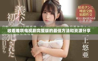 收看難哄電視劇完整版的最佳方法和資源分享