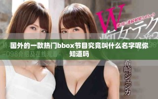 國外的一款熱門bbox節目究竟叫什么名字呢你知道嗎