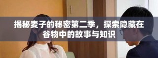 揭秘麥子的秘密第二季，探索隱藏在谷物中的故事與知識(shí)